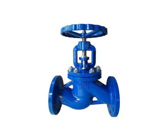 DIN Globe Valve
